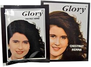 Glory Henna with Shikaki and Amla Pack of 6, 10 gm - Chestnut-B07FXTYW84