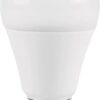 MySouq-Store 1Pcs-12Watt Bulb-Works At Night Only With an Automatic Motion Sensor for 50 Seconds It Turns Off When There Is No Movement, Suitable For lighting Stairs, Entrances,Corridors,Garages-‎B0CTYC95LV