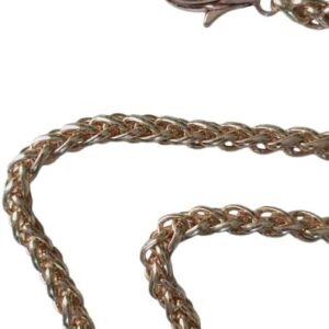 120cm Golden Purse Chain Strap, DIY Iron Flat Handbag Chain Strap with Metal Buckles, Shoulder Cross Body Replacement Straps for Women Bag Purse 139 Gram-B0DNJRSQWV