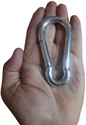 Spring Snap Hook 304 Stainless Steel Carabiner Camping Hiking Traveling Fishing, Small Carabiners for Dog Leash Harness (10 CMX 5 cm -2 Pack)-B0B3F6Q14N