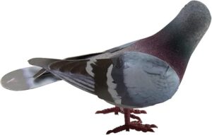 Simulation Foam Pigeon Model,Artificial Imitation Animal Fake Pigeon Home Garden Ornament Miniature Decoration(Random) Brand: Generic