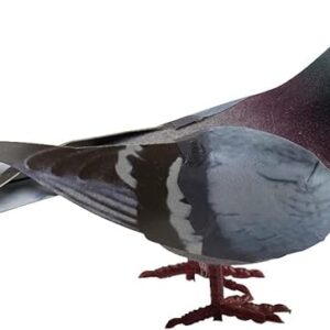 Simulation Foam Pigeon Model,Artificial Imitation Animal Fake Pigeon Home Garden Ornament Miniature Decoration(Random) Brand: Generic