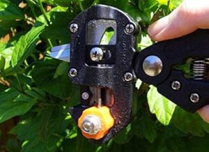 Bonsai Secator Garden Tools with 2 Extra Blades Grafting Pruner Gardening Scissors Pruning Shears Fruit Tree Cutter - B091CPTZZH