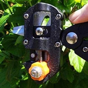 51AJzS+yAEL._AC_ Bonsai Secator Garden Tools with 2 Extra Blades Grafting Pruner Gardening Scissors Pruning Shears Fruit Tree Cutter - B091CPTZZH