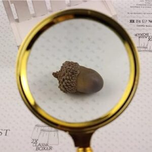 Handheld Reading Magnifying Glassing-Magnification, High-Definition, Can Be Used for Jewelry and Jade Identification 80mm-B0BHR89HJJ