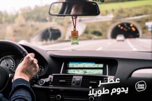 Car Freshener Smart Scent strawberry - 10Ml-B0CV8V8PQG