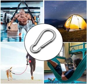Spring Snap Hook 304 Stainless Steel Carabiner Camping Hiking Traveling Fishing, Small Carabiners for Dog Leash Harness (10 CMX 5 cm -2 Pack)-B0B3F6Q14N