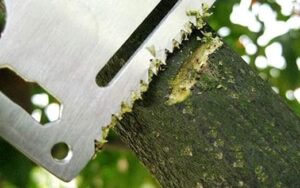 Men's, Women's Stainless Steel Multifunction Knife (Silver) B091CNNDKY