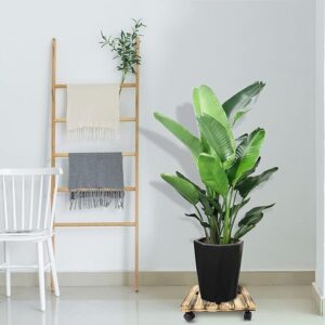[1 Pcs] [ 35*35 Cm ] Wood Moveable Plant Stand Front And Back Wheel - Plant Caddy Wooden Stand 1 Packs Heavy Planter Stand Plant Stand With Fixed Random Wheels-B0DCTG6YM3