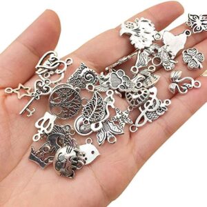61Wd1vhh4XL._AC_ Silver Charm,50 Pieces Mixed Charms Pendants Silver-Charms Craft Supplies for Earrings Necklace Bracelet Jeweler DIY-B0C5G7NFH7