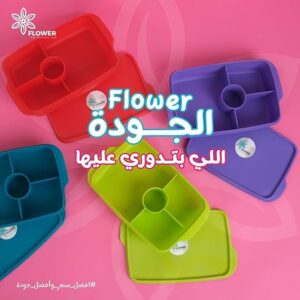 Flower Lunch Box with Interior Dividers, Dishwasher Safe, Microwave Safe, 1Liter +Plastic Spoon And Fork (Ment Green)-B0DGCYYLJM