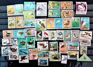 50 Pcs/Set (Randomly) Vintage Rare Stamps Various Countries No Repeat Postmark Scrapbook 1920Year Old Stamps Used Postage Stamps Collection-B0C9N72JJD