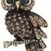 1PCs Cute Vintage Owls Brooch Enamel Animal Badge Corsage Pins Jewelry Gift (Owls Brooch - XZ0217-1) Color May Deffrent-B0CKY42X9P