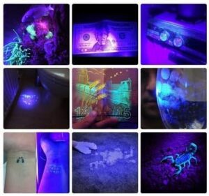 1pcs 21 LED UV black light 395nm 21LED UV Ultra Violet Flashlight for Cat Urine Detector-B091CYJJND