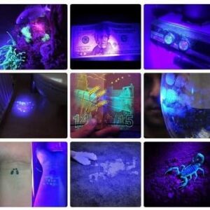 1pcs 21 LED UV black light 395nm 21LED UV Ultra Violet Flashlight for Cat Urine Detector-B091CYJJND