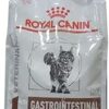 Royal Canin Gastrointestinal Dry Food Renal For Cats 2Kg-B0CZPCFT4Y