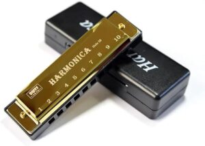 Harmonica for Musical Instrument for Beginners with 10 Hole Diatonic Mouth Organ Set with Storage Box Music Boxes 11Cm Long (Golden)-B0DHXWSC7Y