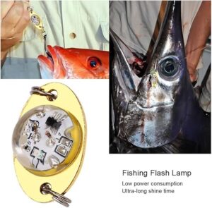 Mini Flashing Lamp LED Deep Drop Underwater Fishing Squid Lure Light Flash Lamp (2.5 CM long) (Random Color)-B0CGD6N5SX