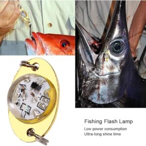 Mini Flashing Lamp LED Deep Drop Underwater Fishing Squid Lure Light Flash Lamp (2.5 CM long) (Random Color)-B0CGD6N5SX