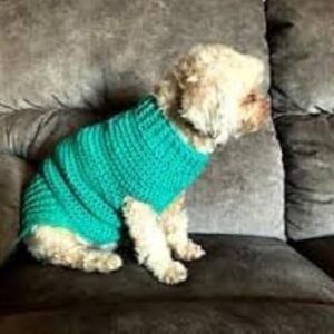 418h-zHL74L._AC_ Dog and Cats HandMade Crochet Shirt Winter Pet Dog Clothes Crochet a winter jacket for pets as shown Select Size Carefully (WN8128-Neck19~27Cm-Chest30~46Cm)-B0DSLMVRMF
