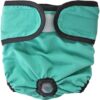 MySouq-Store [1Pcs -M for Chest 33-50cm- Mixed Color] Dog Diapers Physiological Pant Puppy Women's Panties Shorts Underwear Washable Female Dog Diper Panties Pet Dog Cat Clothes (Green For Girls)-B0DV1XLX9B