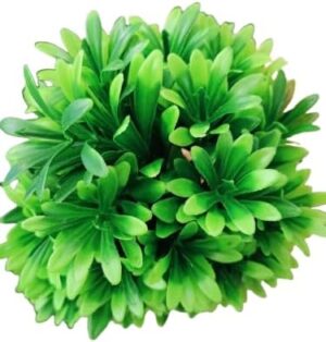 Cute And Amazing Artificial Bonsai Tree in Pot, Green (9X9X21) (W*L*H) Cm Planter Unique Succulent Planter Funny Plant Pot Grass Pot for Indoor Plants Home Decor (Green Grass)-B0DWSJPJDX