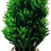 MySouq.Store Cute And Amazing Artificial Bonsai Tree in Pot, Green (9X9X21) (W*L*H) Cm Planter Unique Succulent Planter Funny Plant Pot Grass Pot for Indoor Plants Home Decor (Green Grass)-B0DWSJPJDX