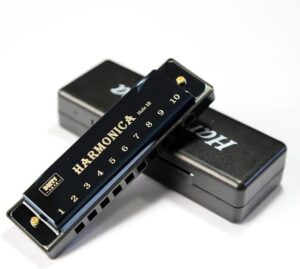 Harmonica for Musical Instrument for Beginners with 10 Hole Diatonic Mouth Organ Set with Storage Box Music Boxes 11Cm Long (Purple)-B0DHXXRPLX