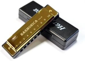 Harmonica for Musical Instrument for Beginners with 10 Hole Diatonic Mouth Organ Set with Storage Box Music Boxes 11Cm Long (Purple)-B0DHXXRPLX