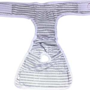 [1 Pcs] Female Dog Shorts Panties Menstruation Underwear Briefs Jumpsuit Pet Physiological Pant Diaper Sanitary Washable Dog Pants (Blue, 2XL, 1, Piece)-B0DVMNV9PY