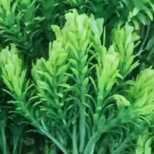 [1PCs -As Shown -18 Green Branches ] Artificial Flower DIY Wedding Colorful Flower Bouquet Plastic Plants Fake Flowers For Garden Porch Window Home Room Table Decor (TU11227)-B0DWT63ZYR