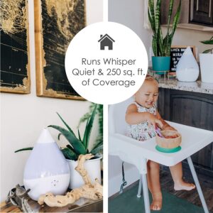 Nikuwaxi 3 L Ultrasonic Cool Mist Humidifier, Essential Oil Diffuser, Whisper Quiet Operation, Automatic Shut-off, 7 Color LED Night Light Function for Bedroom, Home, Office and Plants-B0BW36451Y