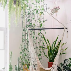 Spring Snap Hook Storng Clip Heavy Duty Steel For Swing seat Securing tents, tarps, and canopies. Connecting ropes, chains, and tools. Craft and decorative uses. Multi Uses-B0DWFX735C