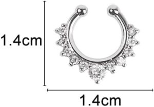 New 1 Pc 1 PC Fake Piering Nose Ring for Women Clip Septum Rock Hip Hoop punk Crystal Body Jewelry Fake Perforation Nose Studs-B0F1T9W6BT