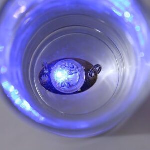 Mini Flashing Lamp LED Deep Drop Underwater Fishing Squid Lure Light Flash Lamp (2.5 CM long) (Random Color)-B0CGD6N5SX