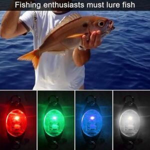 Mini Flashing Lamp LED Deep Drop Underwater Fishing Squid Lure Light Flash Lamp (2.5 CM long) (Random Color)-B0CGD6N5SX