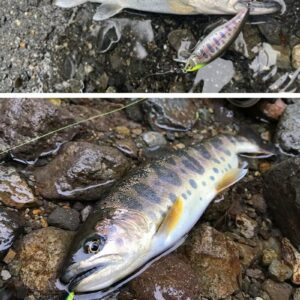 (3 pcs) Fishing 50mm 3.5g Swimbaits Bass Big Fish Crankbaits Fishing Lure Floating Wobblers for Pike Minnow Lure Fishing Tackle (Random)-B0C6JYD9DT