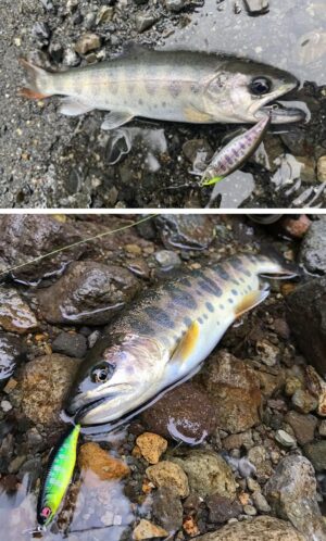 (3 pcs) Fishing 50mm 3.5g Swimbaits Bass Big Fish Crankbaits Fishing Lure Floating Wobblers for Pike Minnow Lure Fishing Tackle (Random)-B0C6JYD9DT