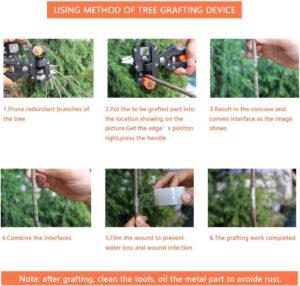 Signstek Gardening Fruit Tree Branch Grafting Cutting Tool Professional Pruner Shear Snip with 2 Extra Blades & Grafting TapeB00JRWFGWE