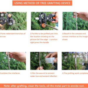 71M7Rk7nNPL._AC_SL1500_ Signstek Gardening Fruit Tree Branch Grafting Cutting Tool Professional Pruner Shear Snip with 2 Extra Blades & Grafting TapeB00JRWFGWE