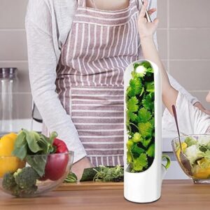 2-Pack Herb Saver Best Keeper, Herb Storage Container, Vanilla Keep-Fresh Cup, Kitchen Storage Cup for Cilantro, Mint, Parsley, Asparagus, Keeps Greens and Vegetables Fresh-B0DTM7YX47