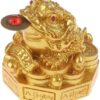 MySouq-Storw 1Pcs Feng Shui Toad Money LUCKY Fortune Wealth Chinese Golden Frog Toad Coin Home Office Decoration Lucky Gifts Tabletop Ornaments (GD Style4)-B0CLH5DKRH