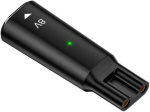 Type C to 2 Pin Powers Plug Connectors Type C Female to 2 Pin Female Adapters Converters for Shaver Charging - Random Color (Oval 8V black)-B0F1DTXKZL