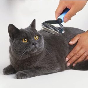 Dog Brush Double-Sided Pet Hair Remover Comb For Dog Cat Comb - Random Color-B0D8HVP5ZS