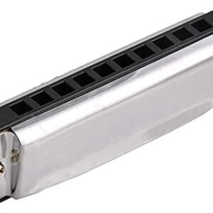 Blues Harmonica 10 Holes Key of C for Beginners-B07PKHPVW4