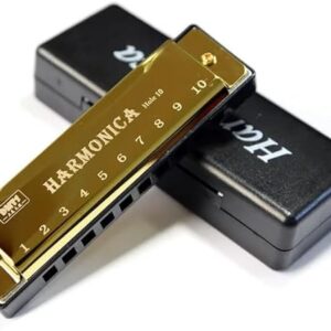51JIrsRg2wL._AC_SY450_ Harmonica for Musical Instrument for Beginners with 10 Hole Diatonic Mouth Organ Set with Storage Box Music Boxes 11Cm Long (Purple)-B0DHXXRPLX