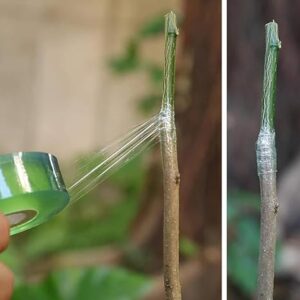 Wide Self-adhesive Nursery Grafting Tape (white, 20mm-200M)-B0F2XBS7MG