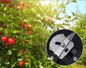 1PCs/Set - Garden Tools professional Farming Pruning Shears Grafting Scissor Fruit Tree Vaccination Secateurs Pruning Cutting Knife-B0CSDYJ17N