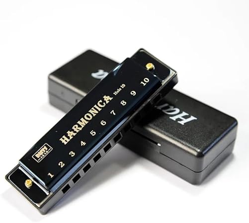 MySouq.co Store Harmonica for Musical Instrument for Beginners with 10 Hole Diatonic Mouth Organ Set with Storage Box Music Boxes 11Cm Long (Red)-B0DHXYTVR3
