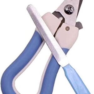B0FB98JBNP-MySouqEg Store Professional pet nail scissors clipper with sharpening